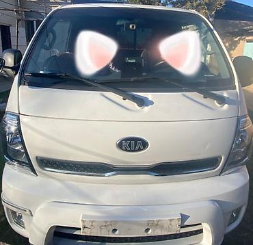 тс кg: Легкий грузовик, Kia, Новый — 1