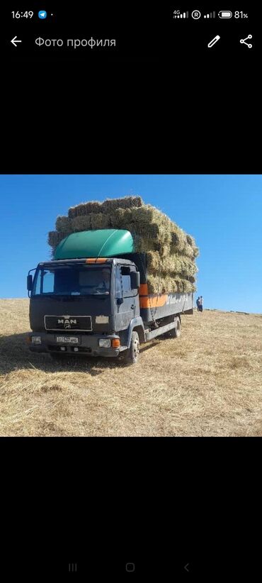 бокс на крышу авто купить в бишкеке: Грузовик, MAN, Стандарт