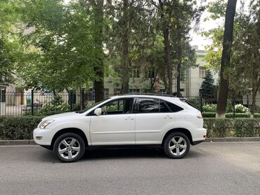 runx alex: Lexus RX: 2004 г., 3.3 л, Автомат, Газ, Кроссовер