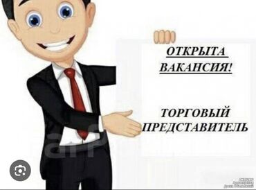 торговый представитель horeca: Требуется Торговый агент, График: Пятидневка, Без опыта, Карьерный рост, Стажировка