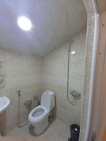 1 комнатная квартира снять: 190 м², 5 комнат, Артезианский колодец, Телефон, Газ — 7
