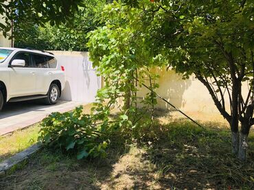 Günlük kirayə evlər: 120 kv. m, 5 otaqlı, Artezian quyusu, Su, Qaz — 6