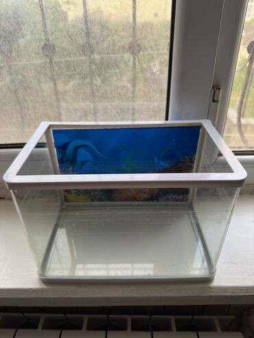 Akvariumlar: Dördbucaq akvarium, Boş, 11 l, Pulsuz çatdırılma, Ödənişli çatdırılma, Ünvandan götürmə