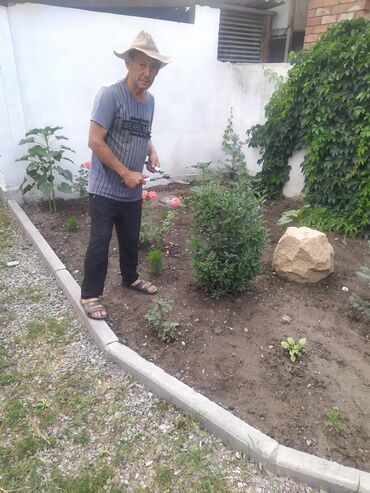 услуги садовников в Кыргызстан | ДВОРНИКИ, САДОВНИКИ: Услуги садовника.стрижка живой изгороди