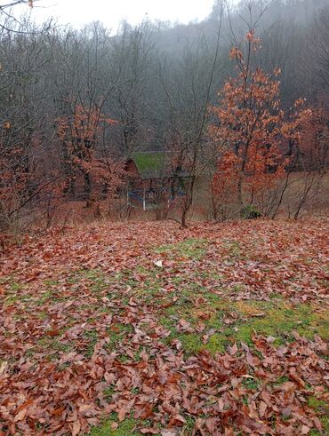 Restoran, kafelər: Masalli İsti su yaxin. 3 hektar ərazi 7 katej 6 bisetka. Tam islek -da lalafo.az — 13 Restoran, kafelər: Masalli İsti su yaxin. 3 hektar ərazi 7 katej 6 bisetka. Tam islek — 13