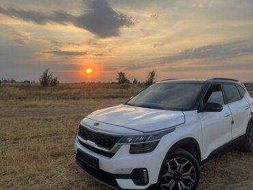 срочно в связи с переездом: Kia Seltos: 2019 г., 1.6 л, Робот, Дизель, Кроссовер