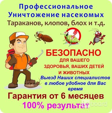 расчески от вшей: Дезинфекция, дезинсекция | Клопы, Блохи, Тараканы | Транспорт, Квартиры, Дома at lalafo.kg расчески от вшей: Дезинфекция, дезинсекция | Клопы, Блохи, Тараканы | Транспорт, Квартиры, Дома