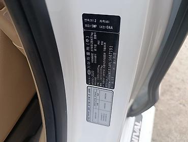 котализаторы: Kia Carnival: 2020 г., 2.2 л, Автомат, Дизель, Минивэн — 10