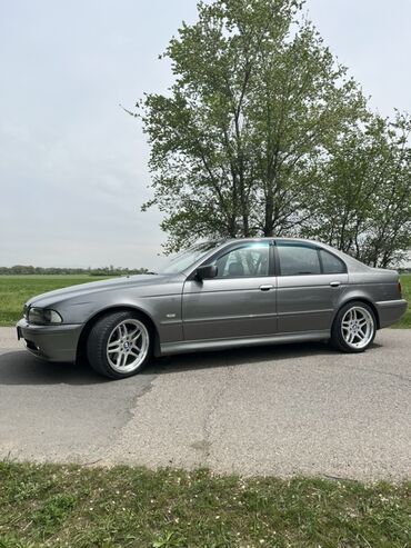 BMW: BMW 5 series: 2002 г., 3 л, Автомат, Дизель, Седан — 3