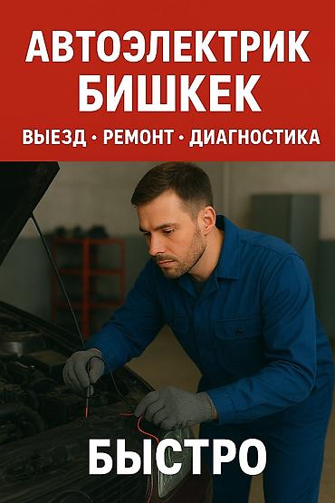 авто химии: Автоэлектрик на выезд 24/7. выезд на место поломки. компьютерная — 1