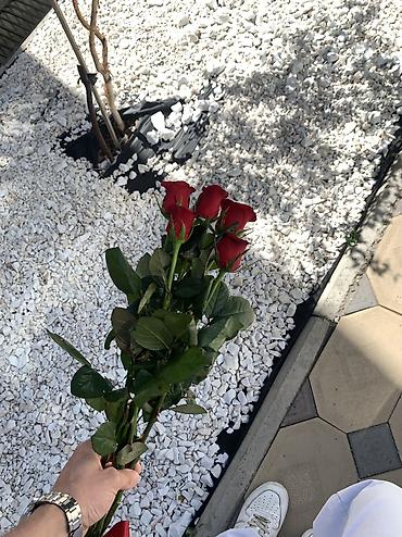 Ищу подработку на дневную смену. график можем обсудить. мне 18 лет