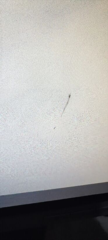 Мониторы: Монитор, Samsung, Б/у, LED, 19" - 20" — 23