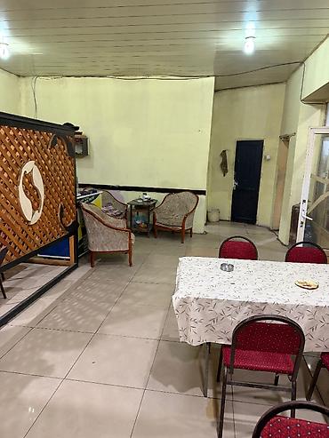 Работа: Официант требуется, Кафе, Ежедневно оплата, Любой возраст, Без опыта — 1