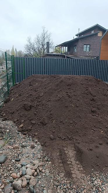 цветы комнатне: Платная доставка, Зил, Камаз, Хово — 3