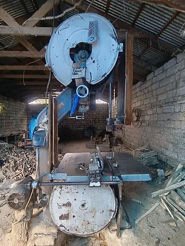 vitrin soyuducular type 1: Diqqət! sdanok, 3 min (türkün) robot isə 1500 ₼Taxta mişar lentinin — 7