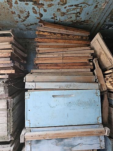 Arılar: Arı yeşikləri və künc dəmirləri satılır
Qiymet danisiq esasinda — 5