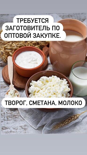 ищу работу дальнобойщик: Требуется заготовитель по оптовой закупке творога, сметаны, молока