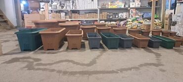 Bitkilər üçün dibçəklər: Dipcekler (Gül dipçekleri) gul qabilar dipcekler ferqli çesidler -da lalafo.az — 11 Bitkilər üçün dibçəklər: Dipcekler (Gül dipçekleri) gul qabilar dipcekler ferqli çesidler — 11