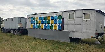 Другие хозтовары: ПРОДАМ Пчелопавилион. Нуклеусы. Лежаки. Медогонку Грановского at lalafo.kg — 16 Другие хозтовары: ПРОДАМ Пчелопавилион. Нуклеусы. Лежаки. Медогонку Грановского — 16