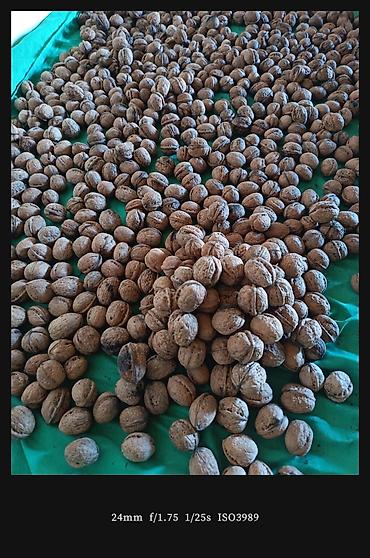 marsipanli tortlar instagram: Super Qoz du dadına söz ola bilməz — 3