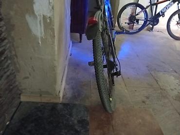 Şəhər velosipedləri: Şəhər və yüngül off-road üçün universal velosiped - Ölçü: 26” — 8
