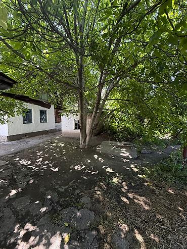 алматинка: 10 соток, Тех паспорт, Договор купли-продажи — 1