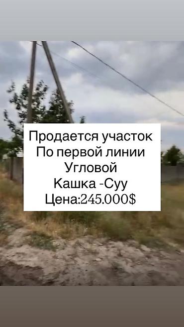 алтын казык ж м: 10 соток, Для строительства, Договор купли-продажи, Красная книга — 1