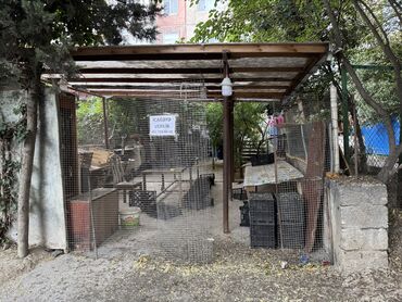 Digər kommersiya daşınmaz əmlakı: 7-ci mikrorayonda,Azadlıq metrosunun yanı,Faxralı xəngəl evinin -da lalafo.az — 8 Digər kommersiya daşınmaz əmlakı: 7-ci mikrorayonda,Azadlıq metrosunun yanı,Faxralı xəngəl evinin — 8