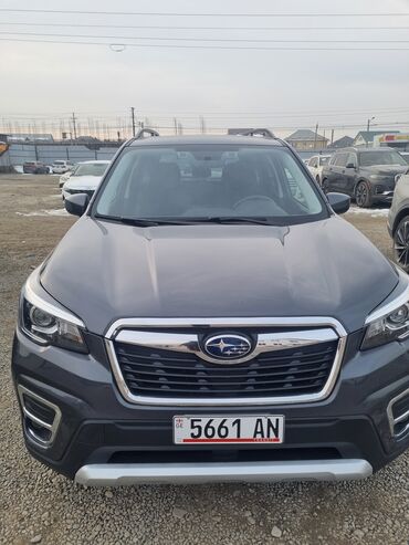 авенсис продажа: Subaru Forester: 2020 г., 2.5 л, Вариатор, Бензин, Универсал