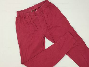 rajstopy zebra: Leggings for kids, Y.F.K., 14 years, 164, condition - Perfect