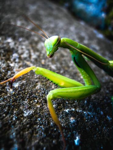 Fotoaparati: Olympus VR 325 Superwide,14 mpx,12 x opticki zum na lalafo.rs — 13 Fotoaparati: Olympus VR 325 Superwide,14 mpx,12 x opticki zum — 13