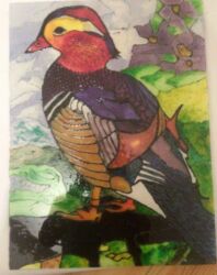 İncəsənət müəllimləri: İncəsənət müəllimi, Rəssamlıq, 5 ildən artıq təcrübə — 8