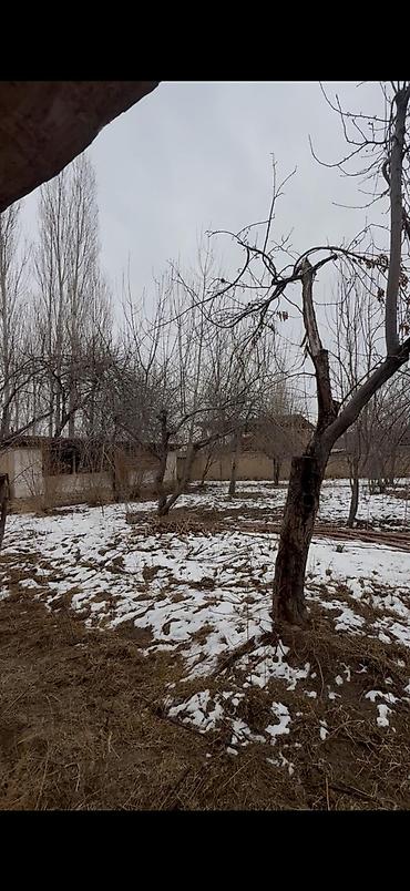 Продажа коттеджей и домов: Окуу жана окуу ❗ жакшы бада жер үй сатылат адрес Жалал-Абад шаарында — 15