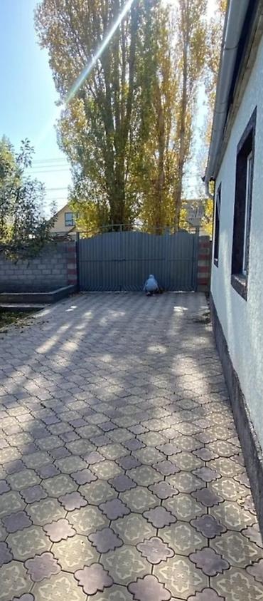 квартира бишкек 1: 58 м², 3 бөлмө, Чогуу жашоосу жок — 1