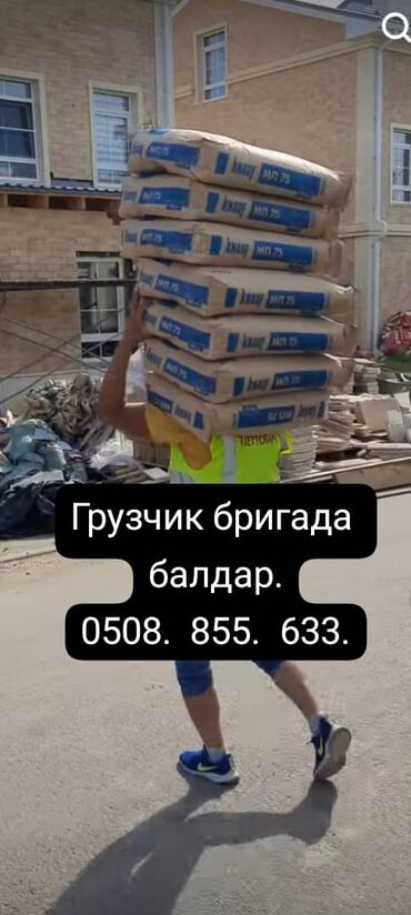 работа шаурма бишкек: Грузчик. Больше 6 лет опыта