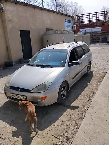 ешка немка: Ford Focus: 1999 г., 1.4 л, Механика, Бензин, Универсал — 3