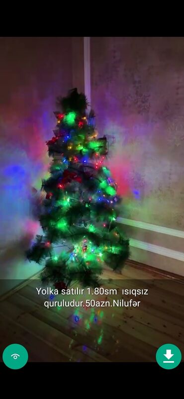 Yeni il ağacları: Yolkalar şaxda baba sekillerde qiymət məlumat qeyd olunub unvan Gence -da lalafo.az — 6 Yeni il ağacları: Yolkalar şaxda baba sekillerde qiymət məlumat qeyd olunub unvan Gence — 6