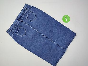 spodnice mini plisowane: Spódnica damska, rozmiar 2XL — 3