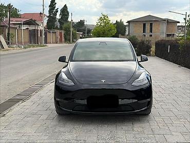 byd e6: Tesla Model Y: 2020 г., Электромобиль, Кроссовер — 4