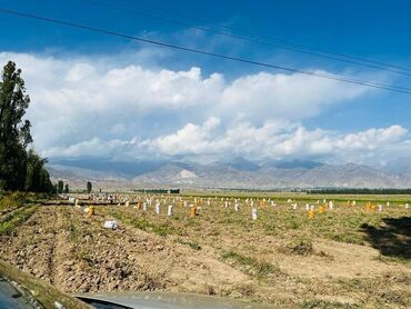 дома на иссык куле: 290 соток, Для сельского хозяйства, Тех паспорт
