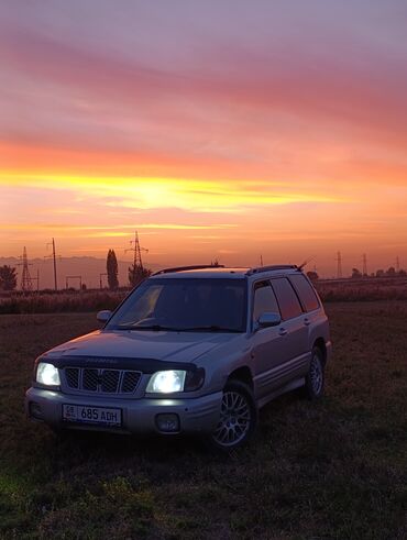 Subaru: Subaru Forester: 2000 г., 2.5 л, Автомат, Газ, Внедорожник