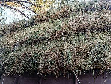 корм для животных: Сено в тюках (пресс-подбор) — луговое/бобово-злаковое. Описание: - — 1