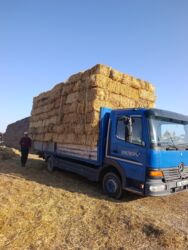 Корма для с/х животных: Арпа Арпа Буудай буудай Саман туктор плотный чоон чоон метровый таза — 3