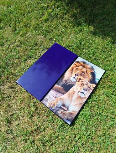 Nərdlər: Nərd Nərdtaxta Nerd Nerd taxta Çeşid çoxdu.çatdırılma 1_2 saata — 7