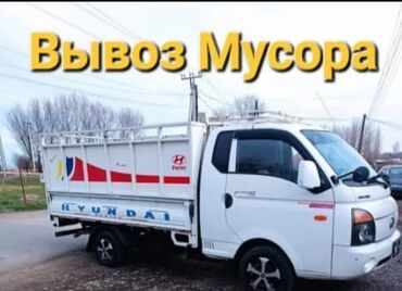 змея животное: ВЫВОЗ МУСОР 🗑 ВЫВОЗ МУСОР 🗑 ВЫВОЗ МУСОР 🗑 ВЫВОЗ МУСОР 🗑 ВЫВОЗ МУСОР 🗑