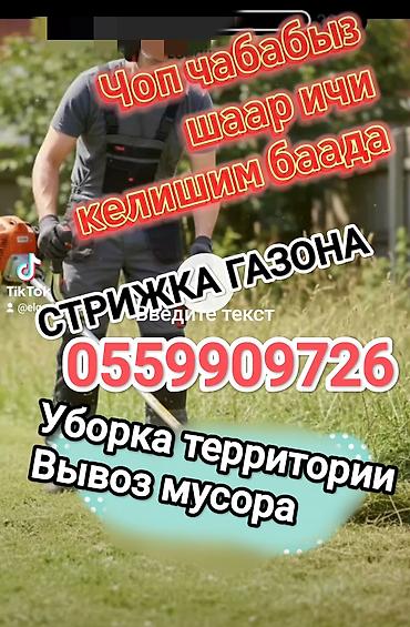 скарификатор: Уборка территории, Стрижка газона — 9