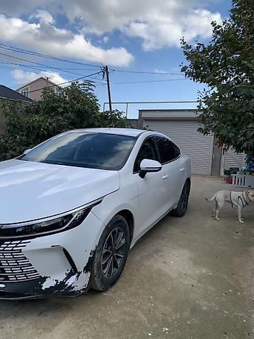 BYD: Salam masin lizingdedi hal hazirda 18 ayi qalib ayi 1200 azn hech bir — 4