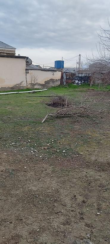 binədə torpağ: 3 sot Tikinti, Qaz, İşıq, Su — 7