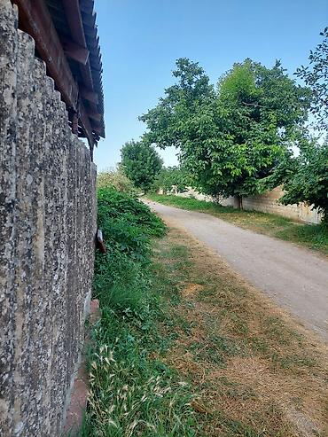 balakən: 64 sot, Kənd təsərrüfatı, Mülkiyyətçi, Kupça (Çıxarış) — 2