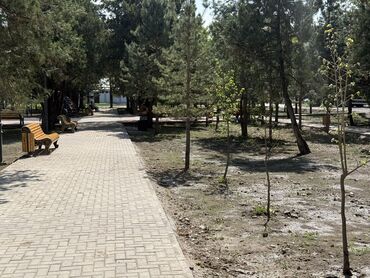 Новостройки от застройщика: Построен, Элитка, Студия, 49 м² — 15